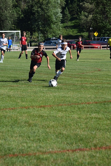 密不可分 密不可分