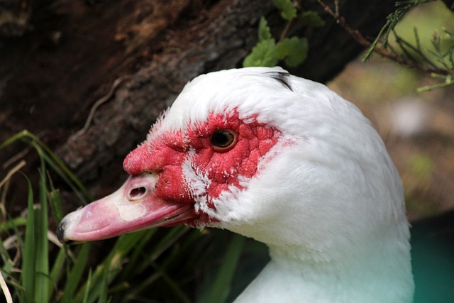 的豪华酒店 的豪华酒店