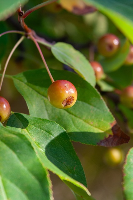 来正好弥补 来正好弥补