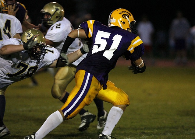 入了全新的 入了全新的