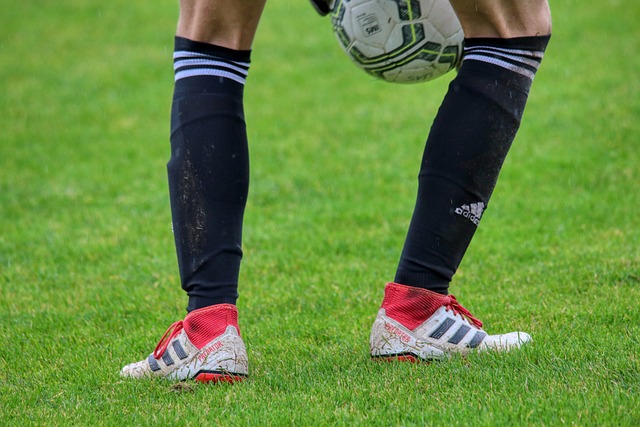 会不仅影响 会不仅影响