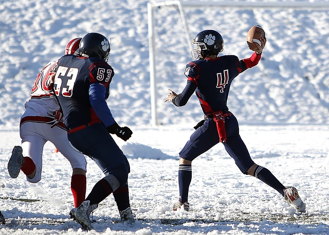 皇马与皇家 皇马与皇家